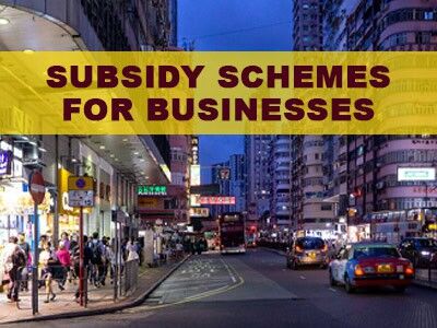 Subsidy Schemes for Businesses