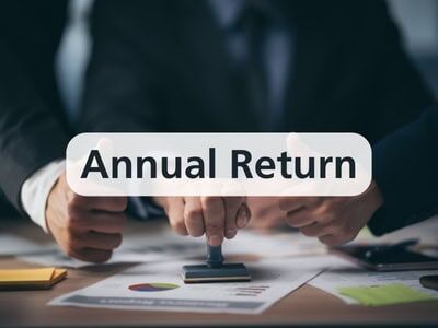 Annual Return